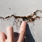 istockphoto-2236114554-612x612